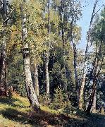 Birch Grove